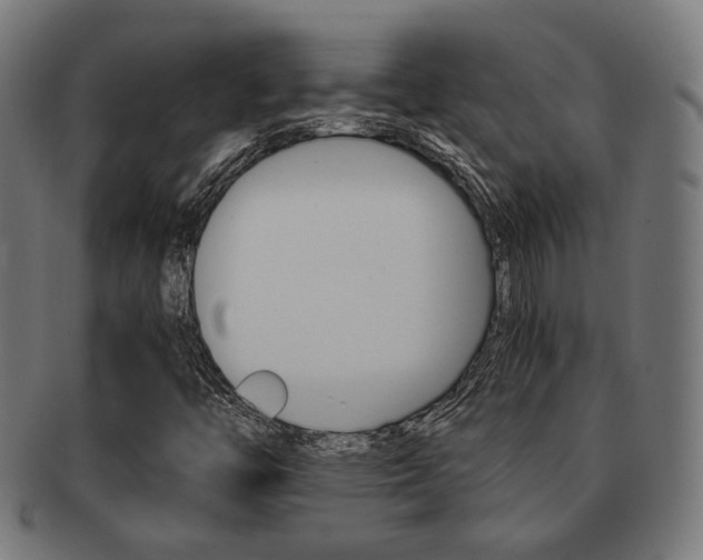 X0000092021446200709061320