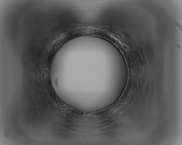 X0000092021447200709061320