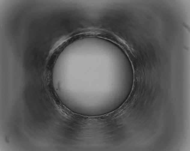 X0000092021448200709061320