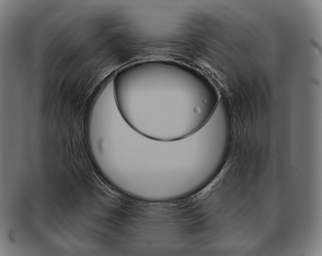 X0000092021449200709061320