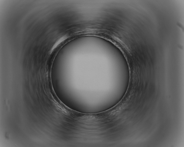 X0000092021450200709061320