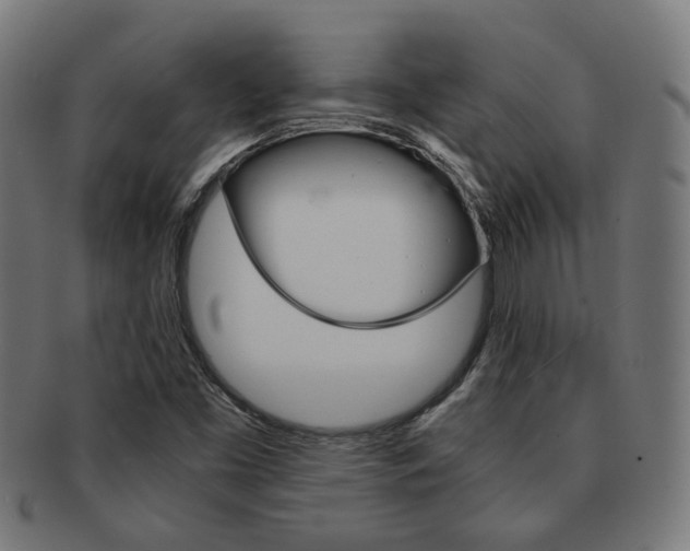 X0000092021453200709061320