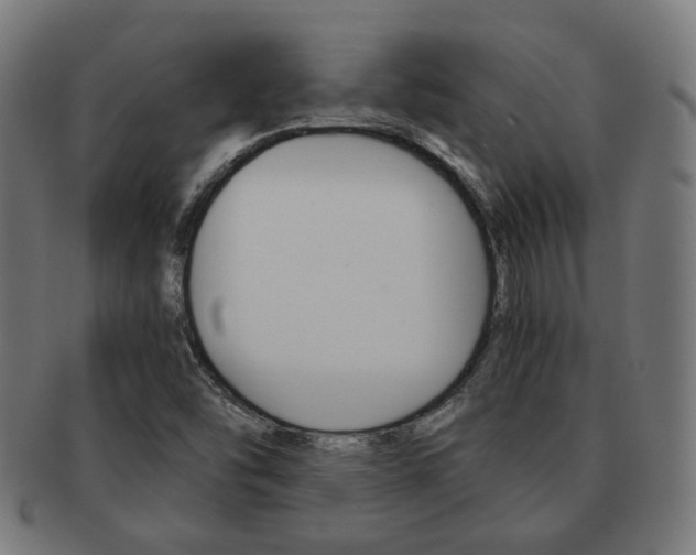 X0000092021454200709061320