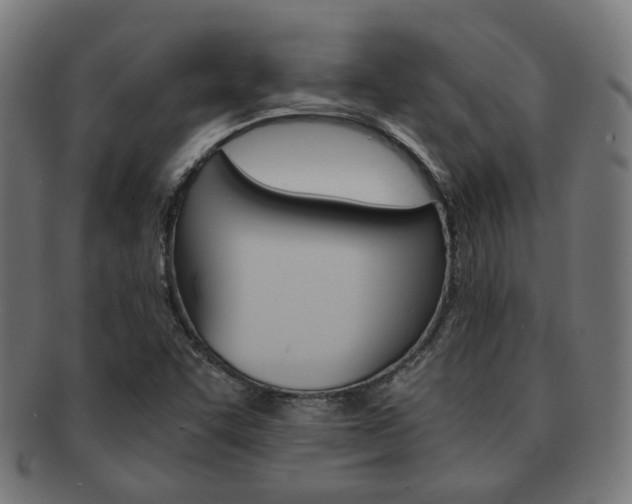 X0000092021455200709061320