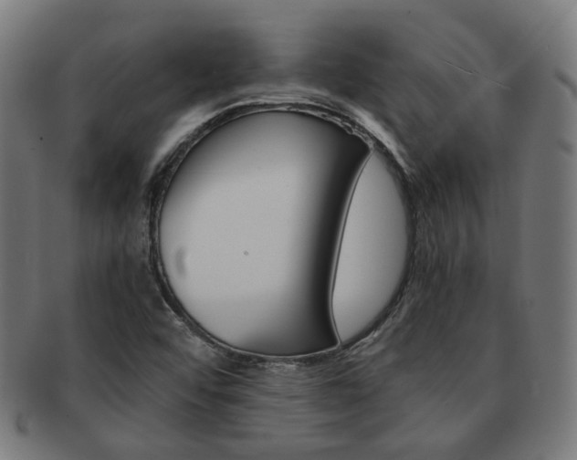 X0000092021456200709061320