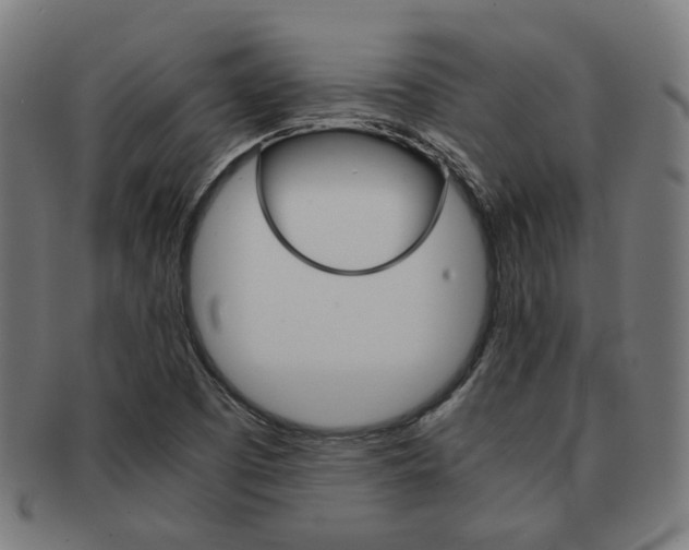 X0000092021457200709061320