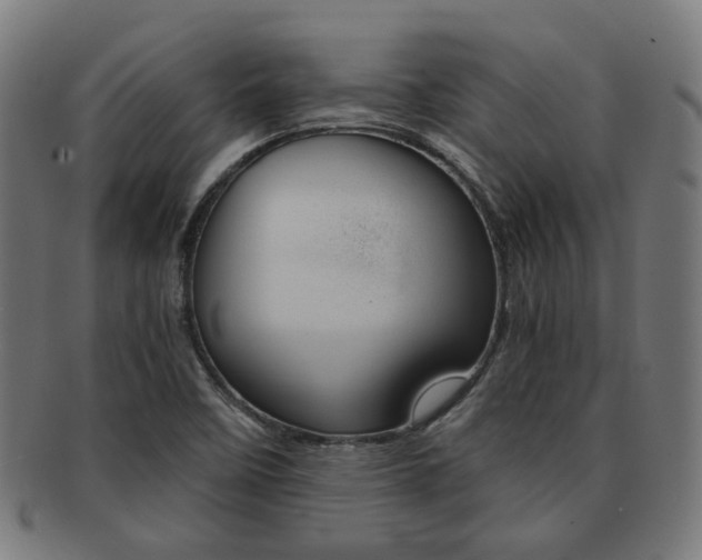 X0000092021458200709061320