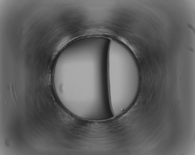X0000092021459200709061320