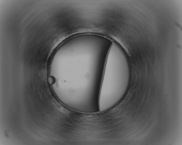 X0000092021460200709061320