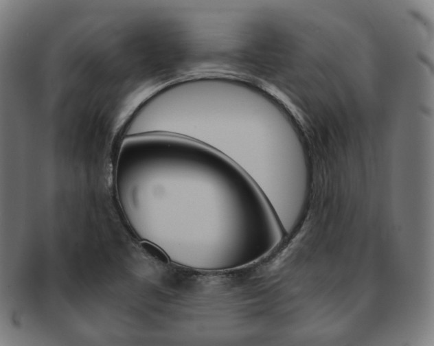 X0000092021461200709061320