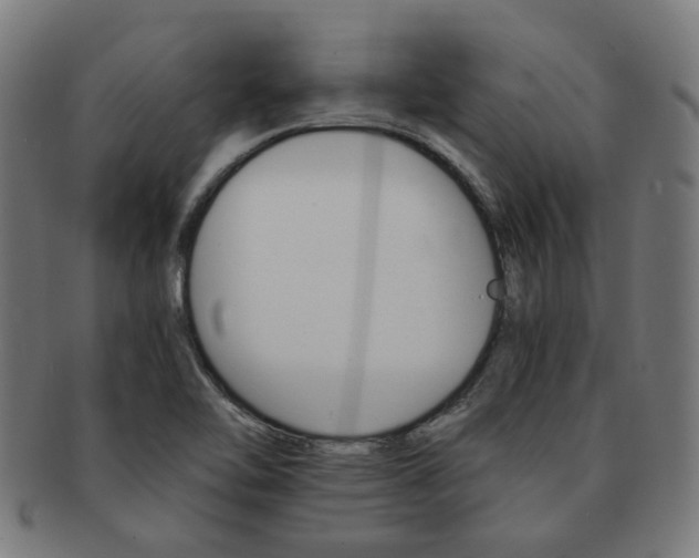 X0000092021462200709061320
