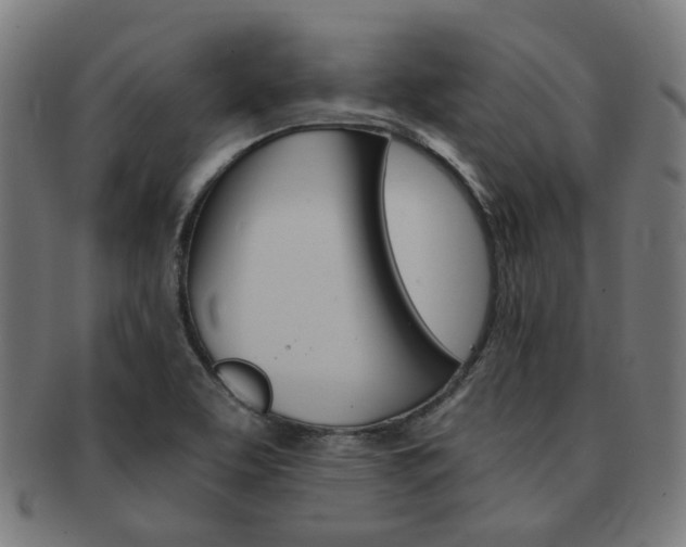 X0000092021463200709061320