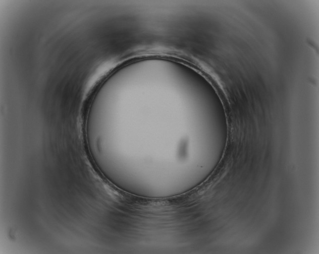 X0000092021464200709061320