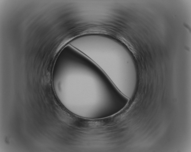 X0000092021465200709061320