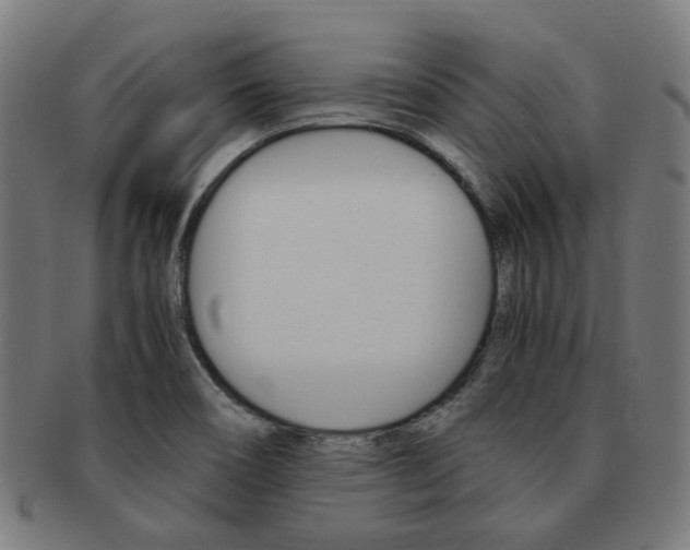 X0000092021466200709061320