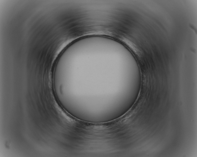 X0000092021468200709061319