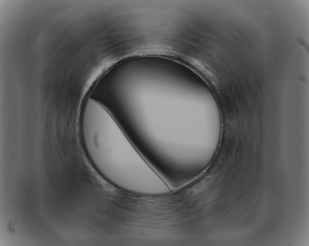 X0000092021469200709061319