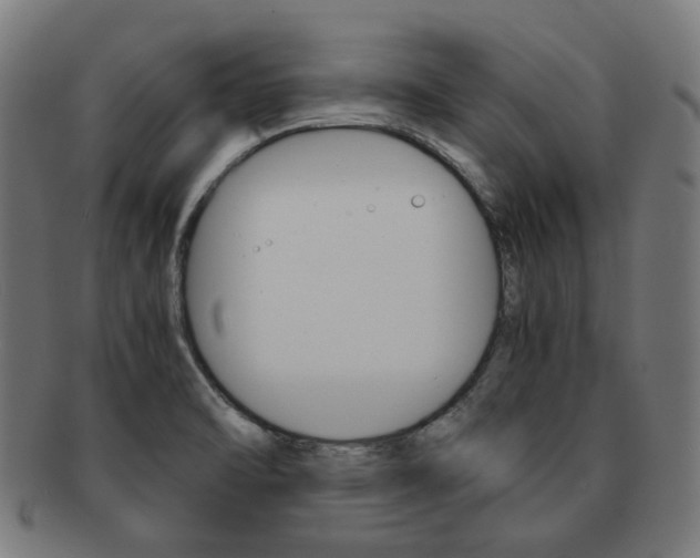 X0000092021470200709061319