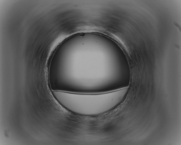 X0000092021472200709061319