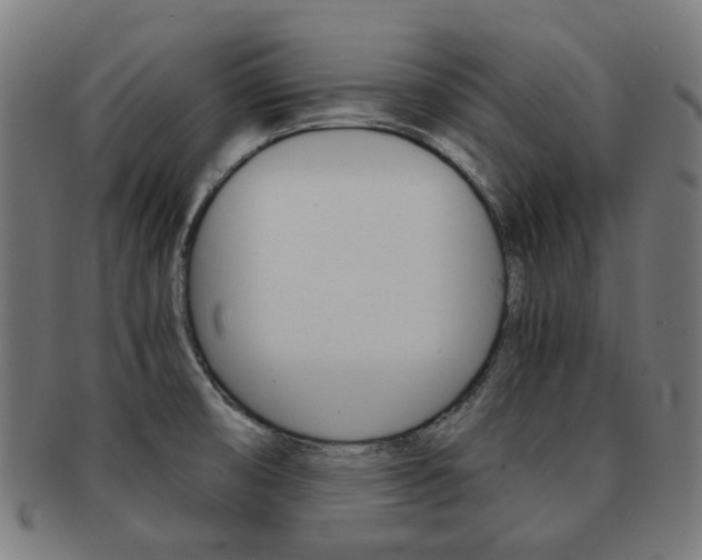 X0000092021474200709061319