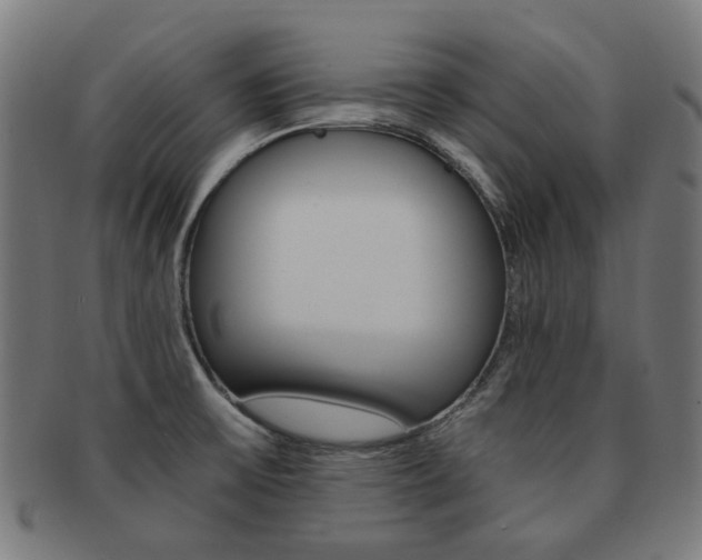 X0000092021475200709061319