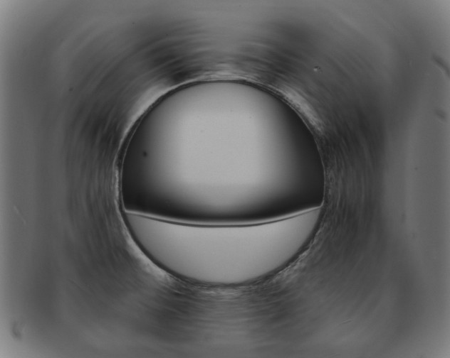X0000092021476200709061319