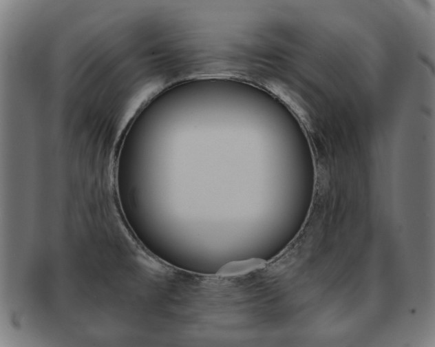 X0000092021477200709061319