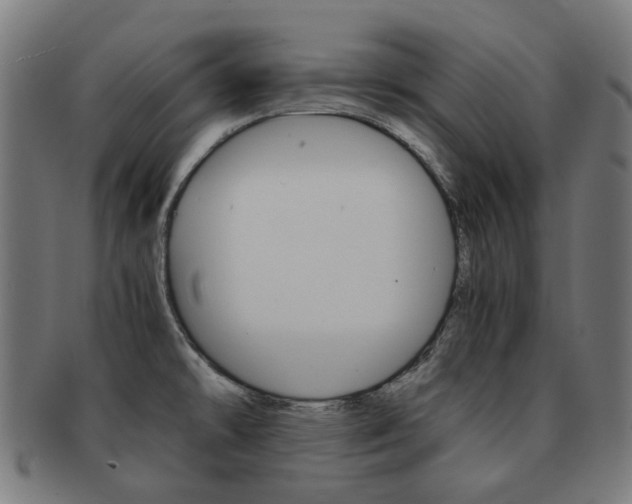 X0000092021478200709061319