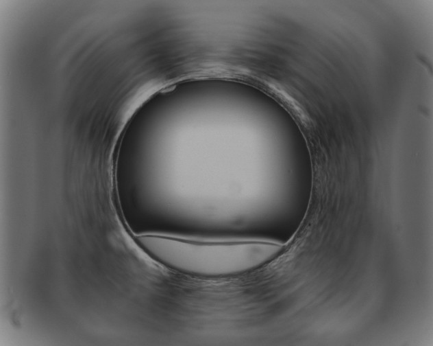 X0000092021479200709061319