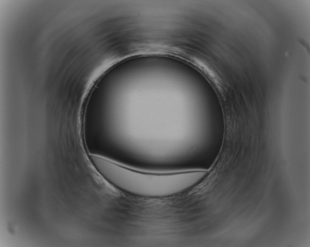 X0000092021480200709061319