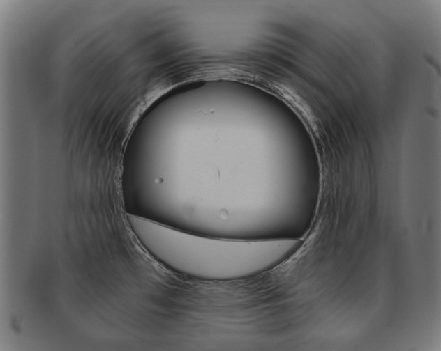 X0000092021481200709061319