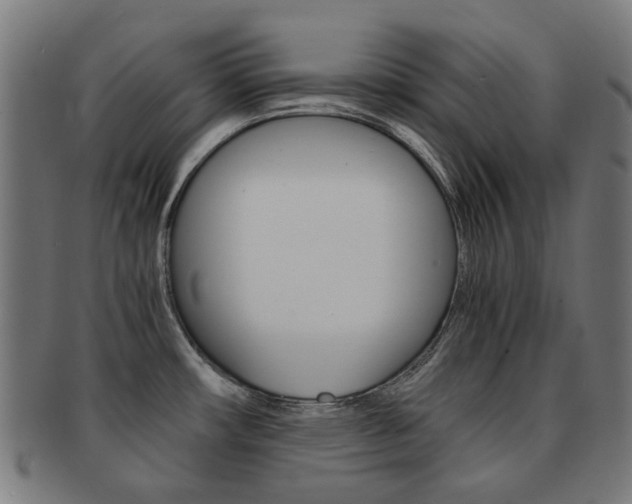 X0000092021482200709061319