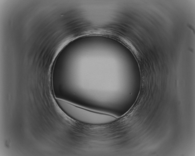 X0000092021483200709061319