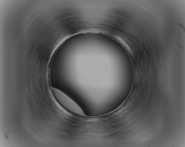 X0000092021484200709061319