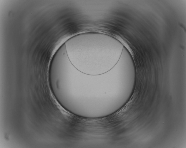 X0000092021485200709061319