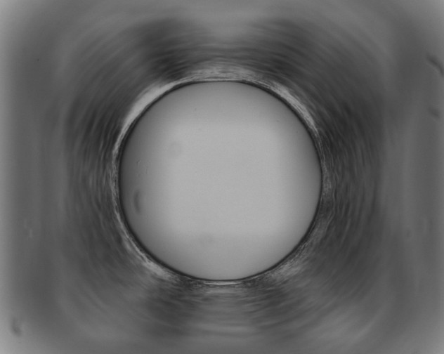 X0000092021486200709061319