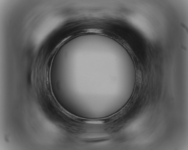 X0000092021487200709061319