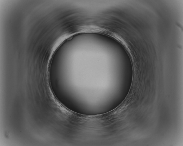 X0000092021488200709061319
