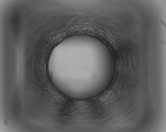 X0000092021489200709061319