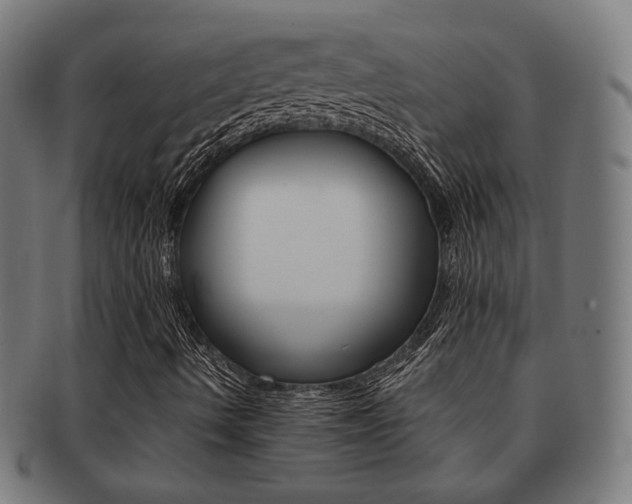 X0000092021490200709061319