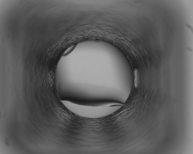 X0000092021491200709061319