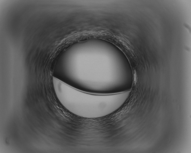 X0000092021492200709061319