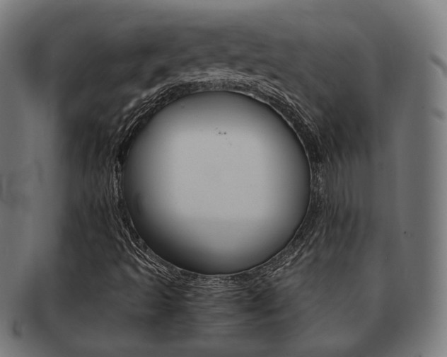 X0000092021493200709061319