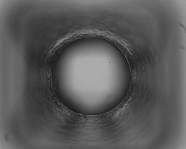 X0000092021494200709061319