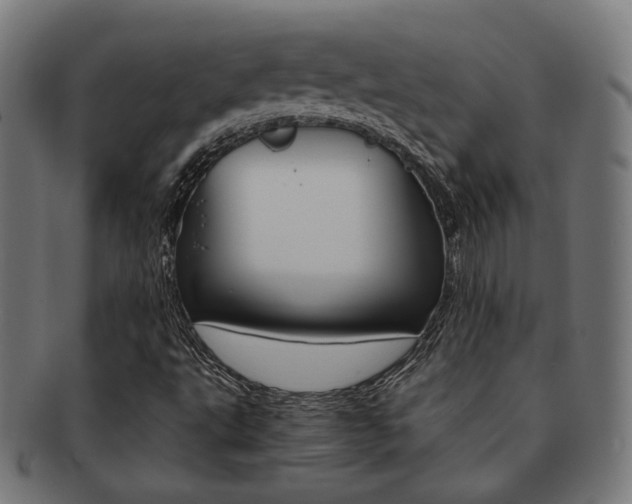 X0000092021495200709061319