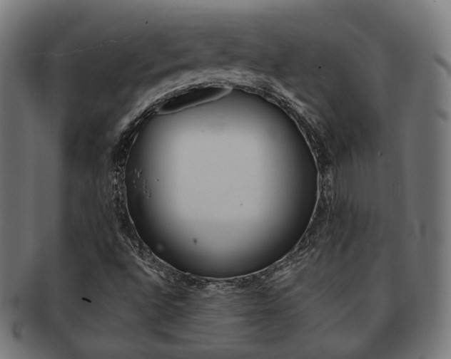 X0000092021496200709061319