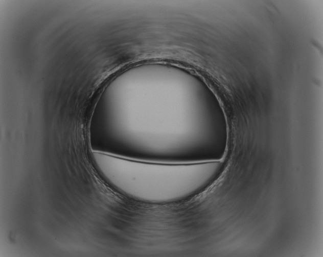 X0000092021497200709061319