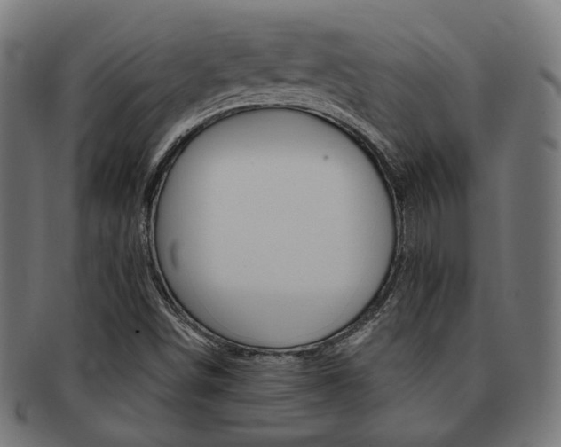X0000092021498200709061319