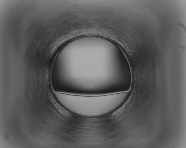 X0000092021499200709061319