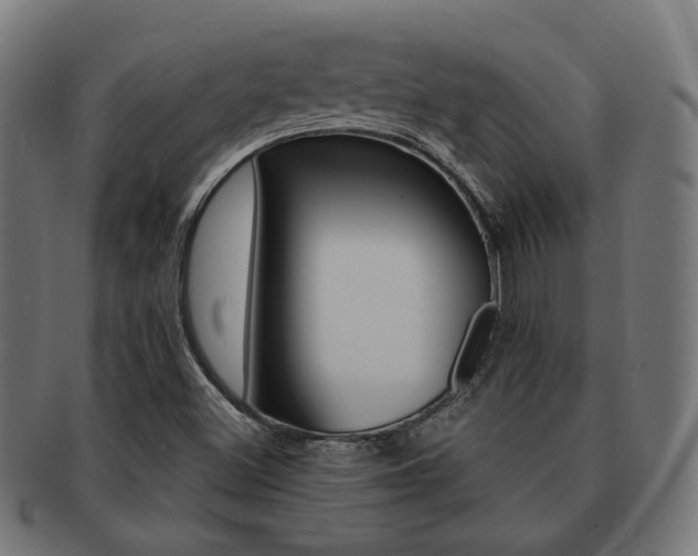 X0000092021500200709061319